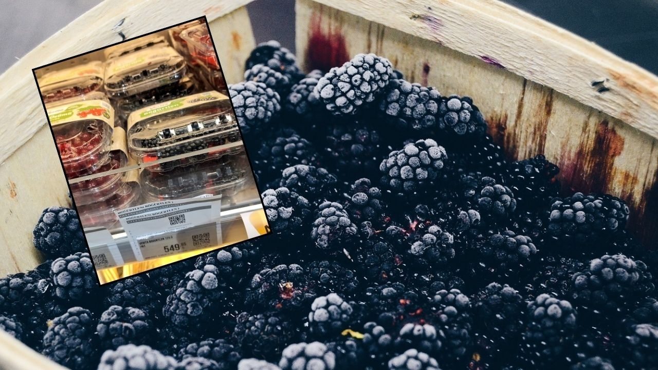 İstanbul’da bir markette satışa sunulan Belçika menşeli böğürtlenin fiyatı dikkat