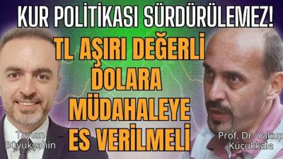 İktisatçı Prof. Dr. Yakup Küçükkale, gündemdeki "yeni ekonomi politikaları"na dair