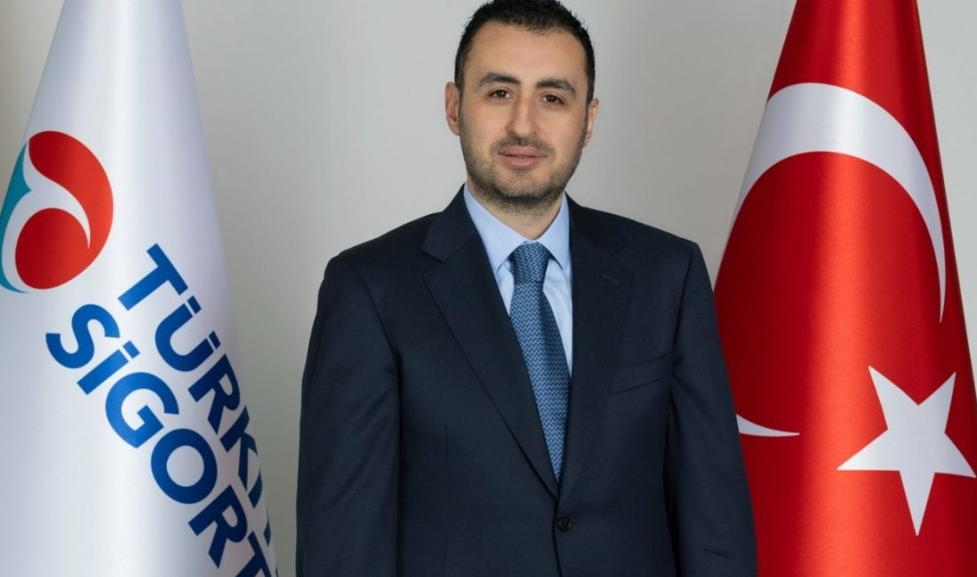 Türkiye Sigorta ve Türkiye Hayat