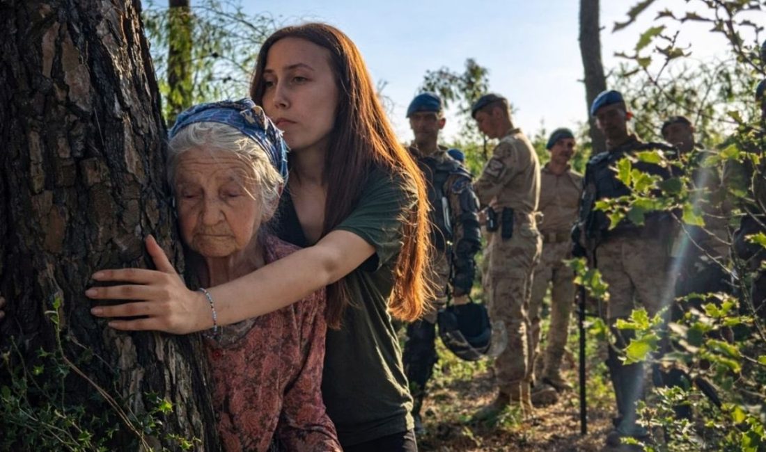 Akbelen Ormanı çevresindeki acele kamulaştırma kararına karşı eylemler nedeniyle 40
