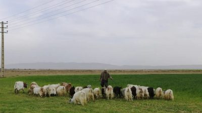 Afganistan Mülteciler ve Geri Dönüş Bakanlığı’nın açıklamasına göre, Türkiye’nin Kabil’deki